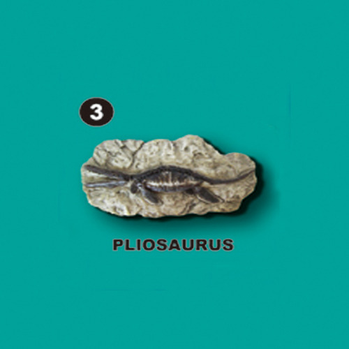선사시대화석발굴 - 플리오사우루스 Pliosaurus [SA3]