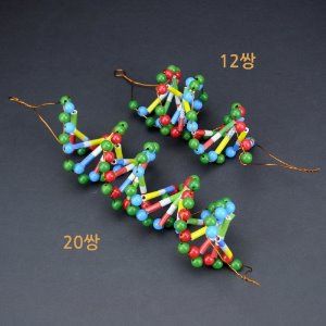 두루마리 DNA-20쌍 [4인용]