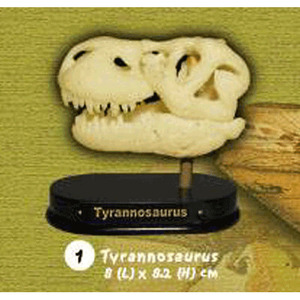 공룡 티라노사우루스 두개골 화석발굴(소) DSS1