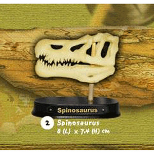 공룡 스피노사우루스 두개골 화석발굴(소) DSS2