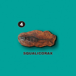 선사시대화석발굴 - 까마귀상어 Squalicorax [SA4]