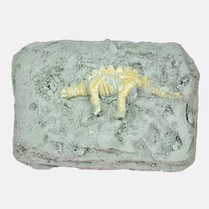 공룡화석 발굴 set 