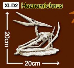 한반도공룡뼈발굴(특대형) - 해남이크누스 [XLD2]