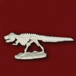 공룡뼈발굴 - 티라노사우루스 (중형) [MDS1]