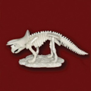 공룡뼈발굴 - 트리케라톱스 (중형) [MDS3]