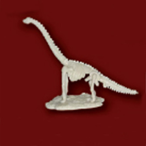 공룡뼈발굴 - 브라키오사우루스 (중형) [MDS4]