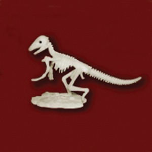 공룡뼈발굴 - 스테고세라스 (중형) [MDS6]