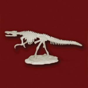 공룡뼈발굴 - 바리요닉스 (중형) [MDS7]