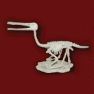 공룡뼈발굴 - 프테로닥티루스 (중형) [MDS8]