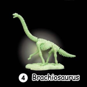 공룡뼈발굴-브라키오사우루스(야광) [GDM4]