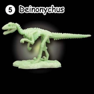 공룡뼈발굴-데이노니쿠스(야광) [GDM5]