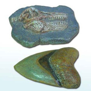 고대상어&amp;티라노사우루스 화석 [FS1]