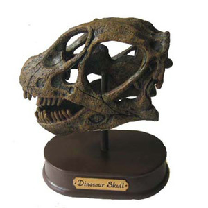 공룡두개골발굴(특대형) - 브라키오사우루스[DHS4]