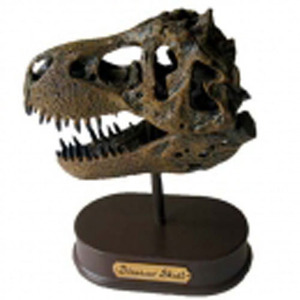 공룡두개골발굴(특대형) - 타르보사우루스 바타르 [DHS1]