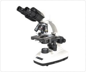 전문가용 쌍안생물현미경 TBL-1000S