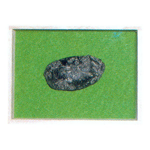 운석 표본(텍타이트)(Tektites)
