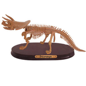 공룡뼈발굴(특대형) - 트리케라톱스[NDS4] 