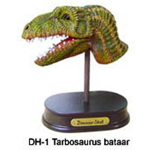 공룡 두상 발굴 체험 키트- 타르보사우루스 바타르(DH1)