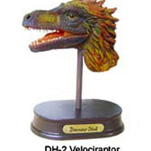 공룡 두상 발굴 체험 키트- 벨로키랍토르(DH2)
