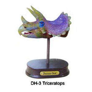 공룡 두상 발굴 체험 키트- 트리케라톱스(DH3)