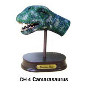공룡 두상 발굴 체험 키트- 카마라사우루스(DH4)