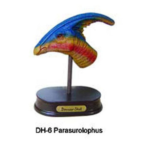 공룡 두상 발굴 체험 키트- 파라사우롤로푸스(DH6)