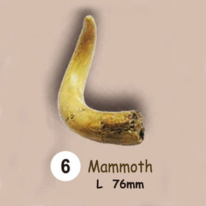 동물.공룡이빨화석발굴 - 맘모스 Mammoth [TF6]