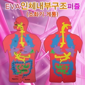 EVA 인체내부구조(소화기계통)퍼즐