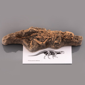 아기공룡화석(모형)