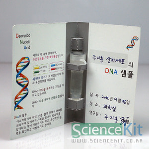 DNA추출 II -동물세포[4인용]
